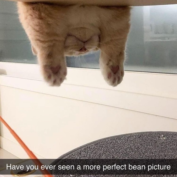 🌺🌸🌼Welcome!🌼🌸🌺 - Picture 1 of 3